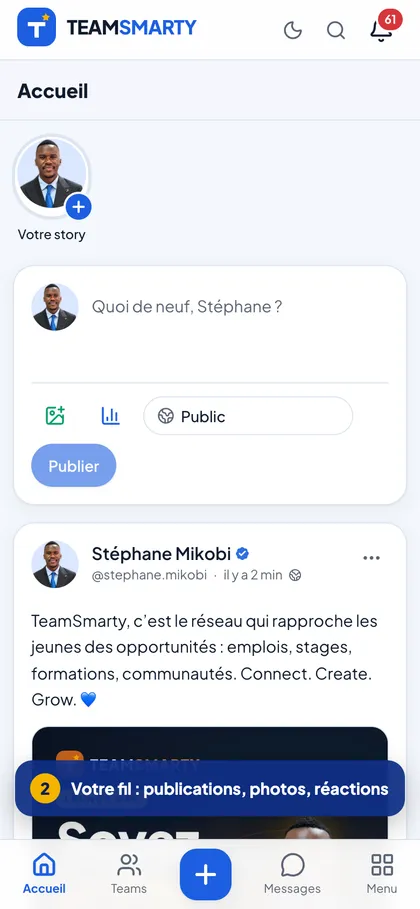 Aperçu de TeamSmarty